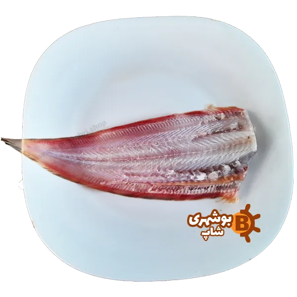 فروشگاه اینترنتی بوشهری شاپ - خوراکی محلی - آبزیان - ماهی - ماهی زبان - 1