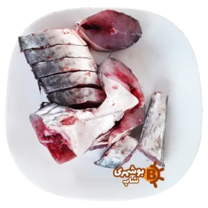 ماهی شیر بوشهر